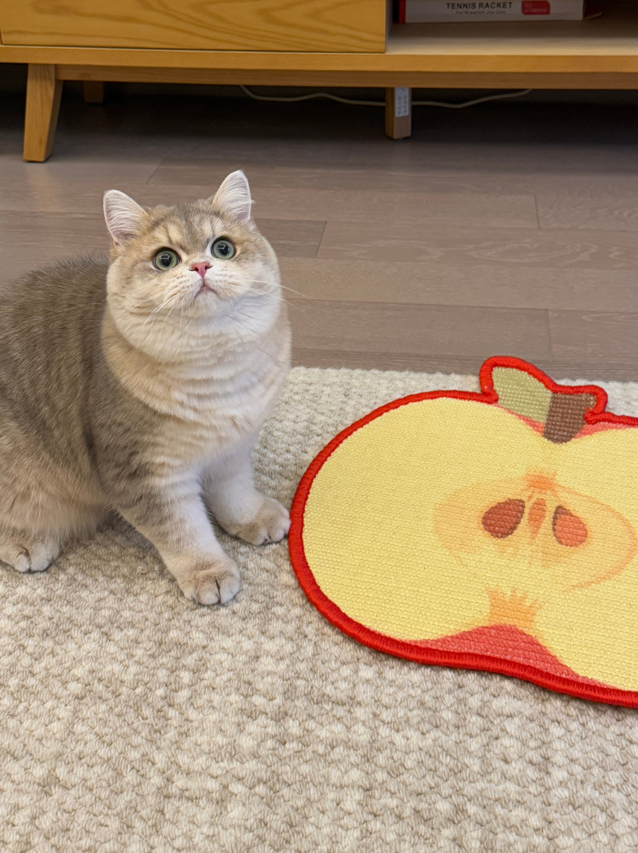 Apple-Shaped Sisal Cat Scratching Mat