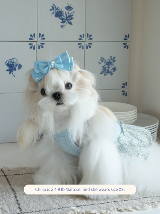 Dog wearing the blue Afternoon Garden Dress