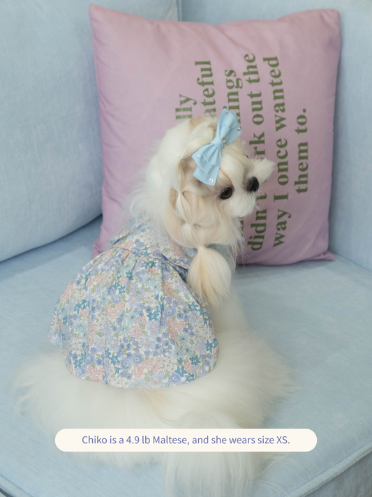Honey Bloom Dress