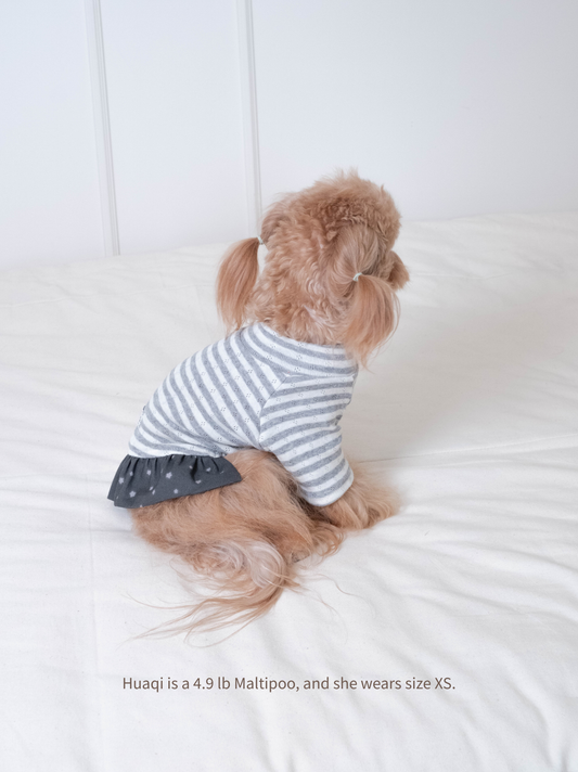 Huaqi the Maltipoo wearing gray stripe knit dog dress, side view