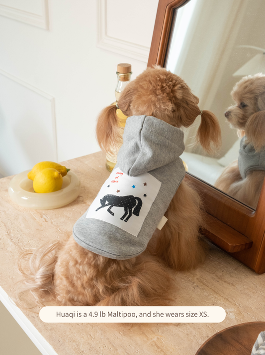 Huaqi the Maltipoo wearing gray sleeveless pony dog hoodie