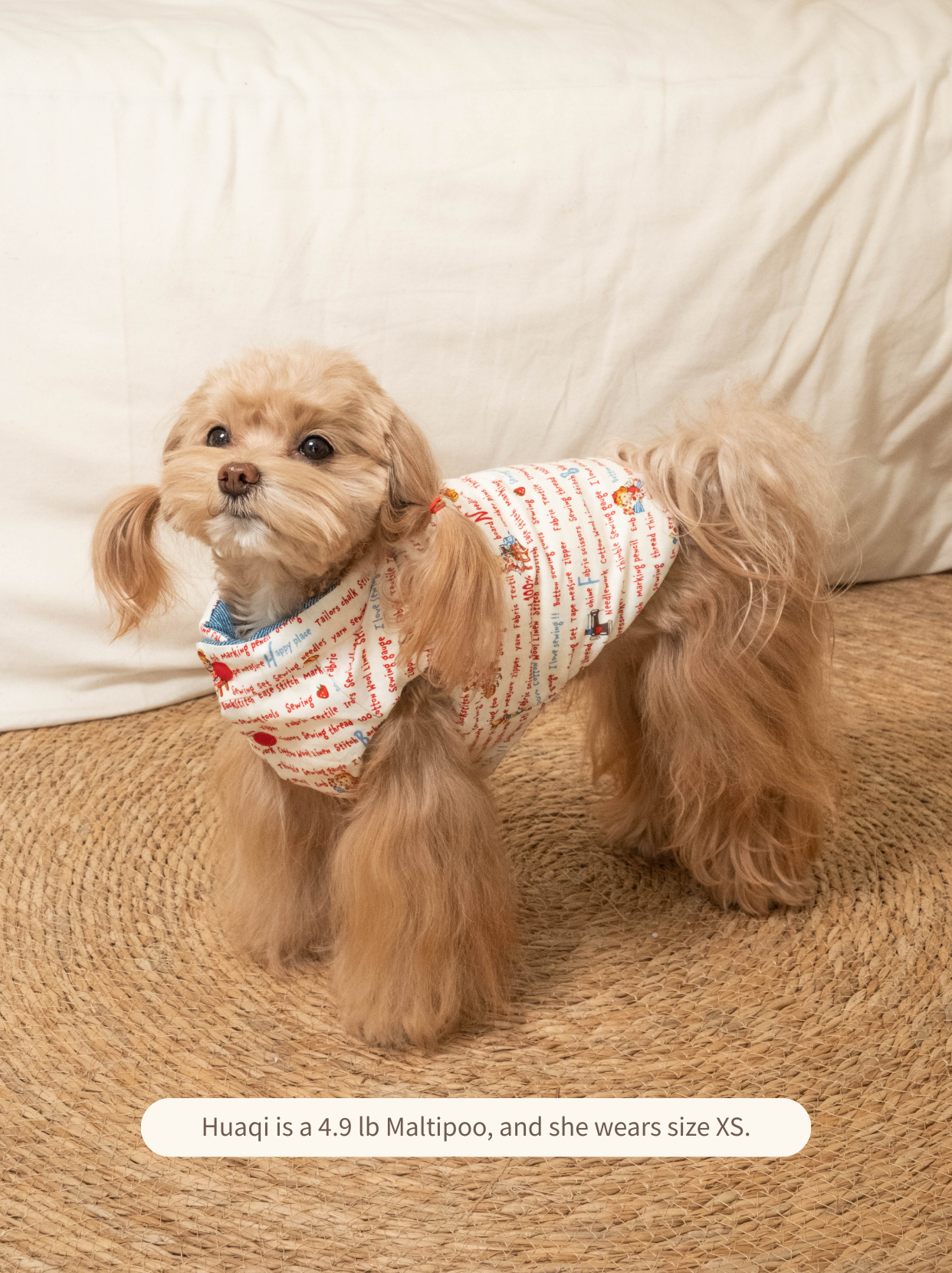 Maltipoo wearing reversible down dog vest, illustrated side side view