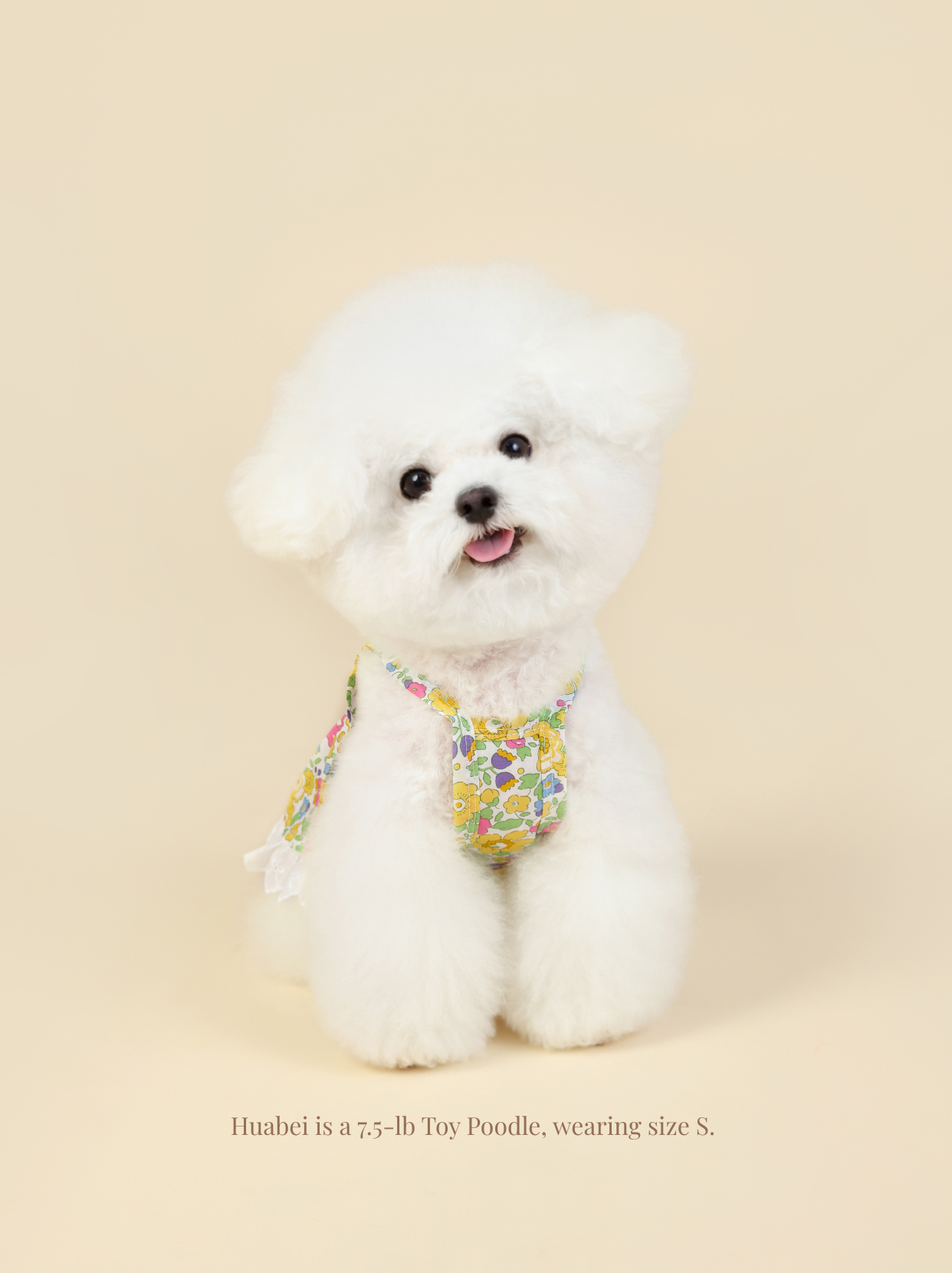 Vintage Yellow Floral Pet Dress
