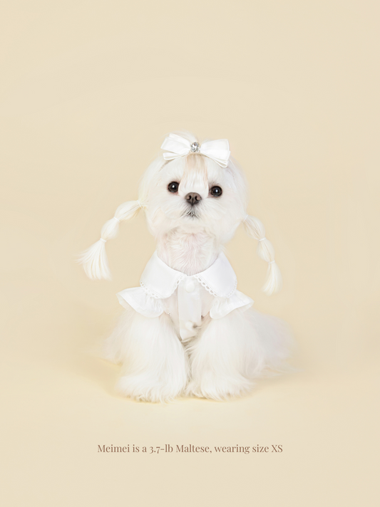 Classic Vintage White Pet Blouse