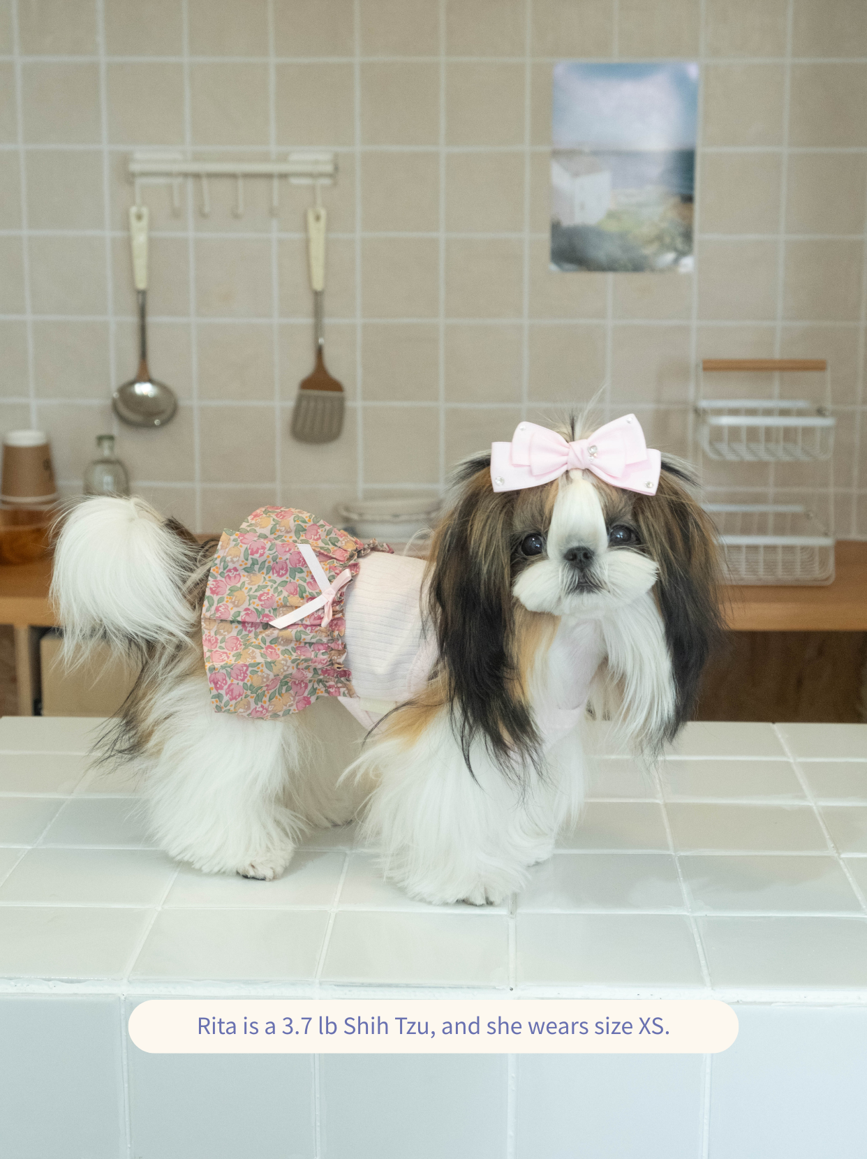 Side view of a puppy wearing the pink Afternoon Garden Dress