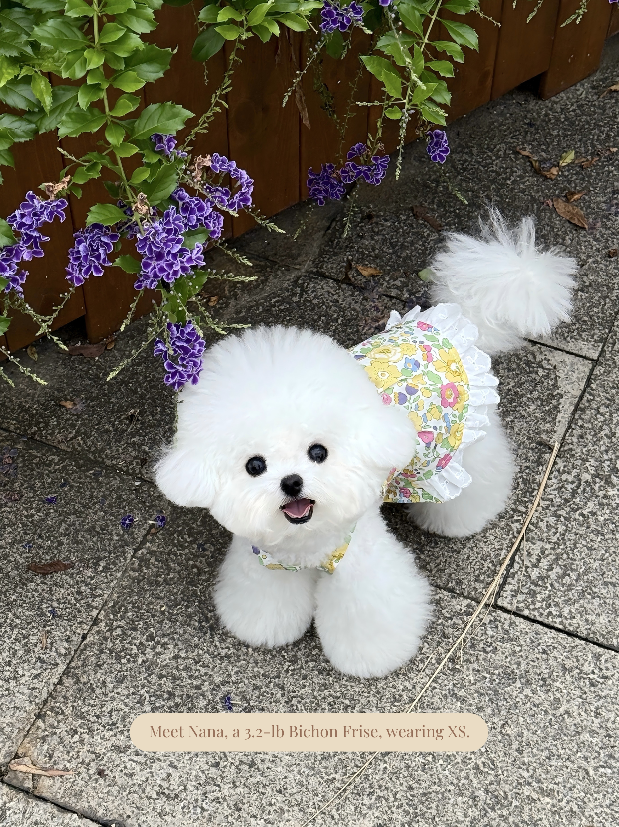 Vintage Yellow Floral Pet Dress
