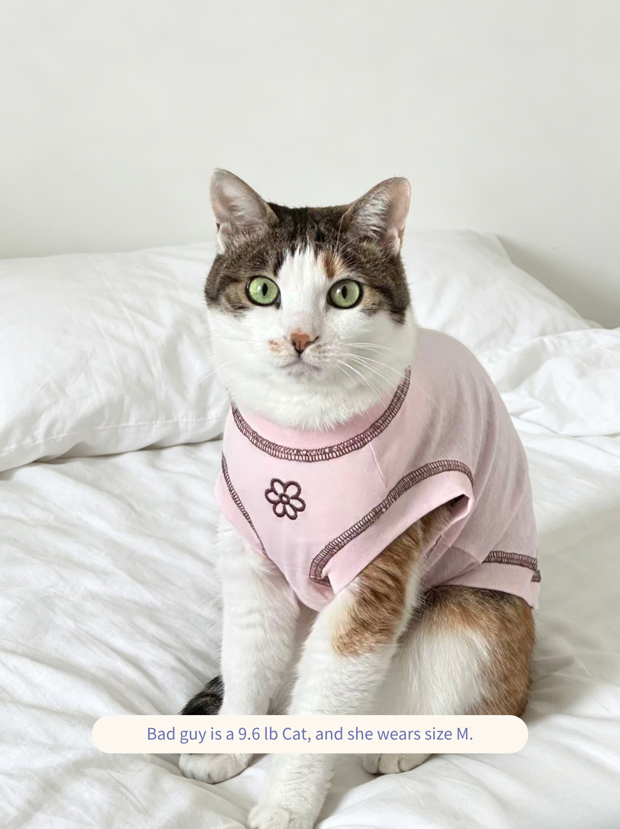 Cat wearing the pink Pawlorful Essential Tank.