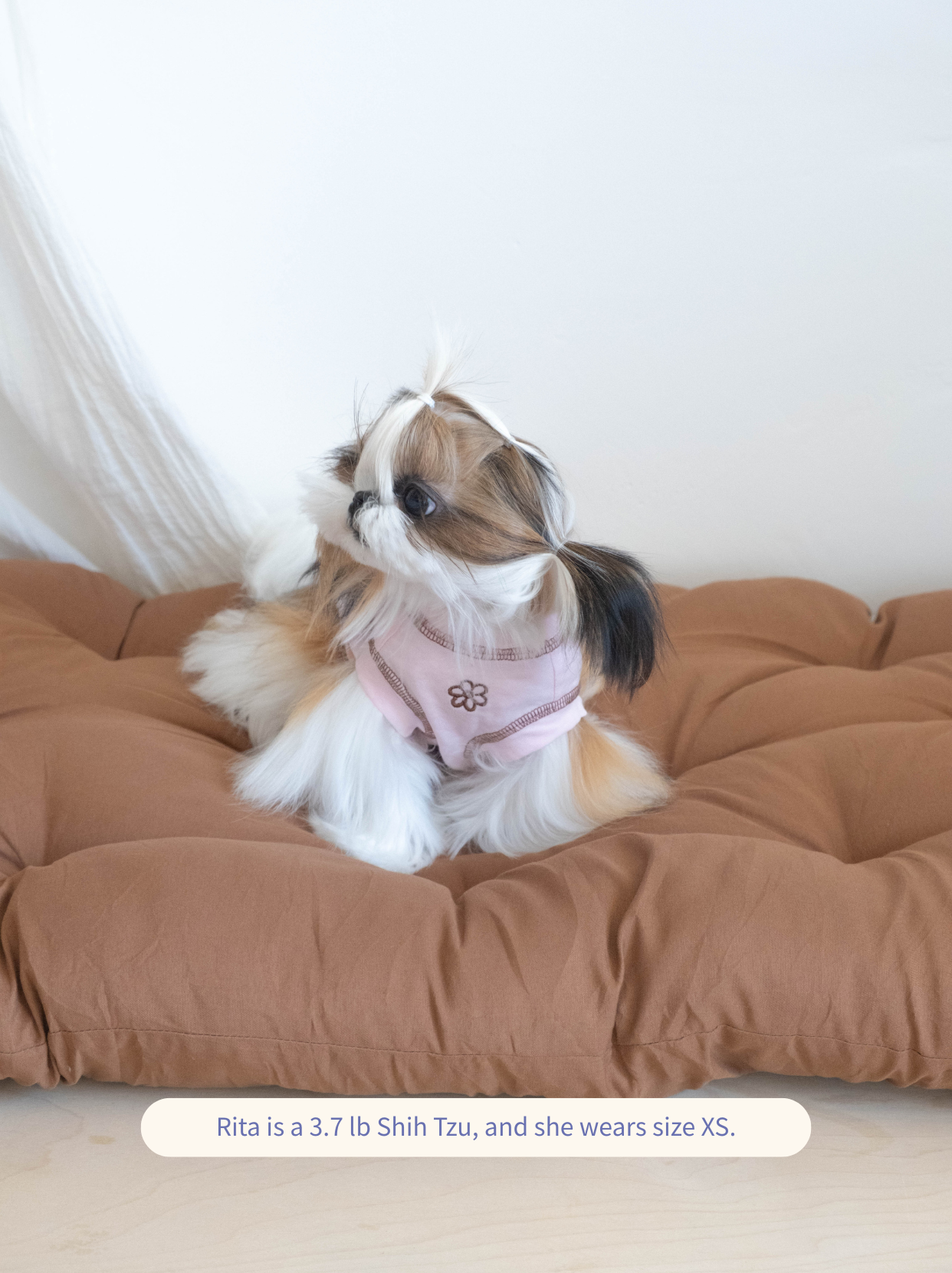 Shih Tzu wearing the pink Pawlorful Essential Tank.