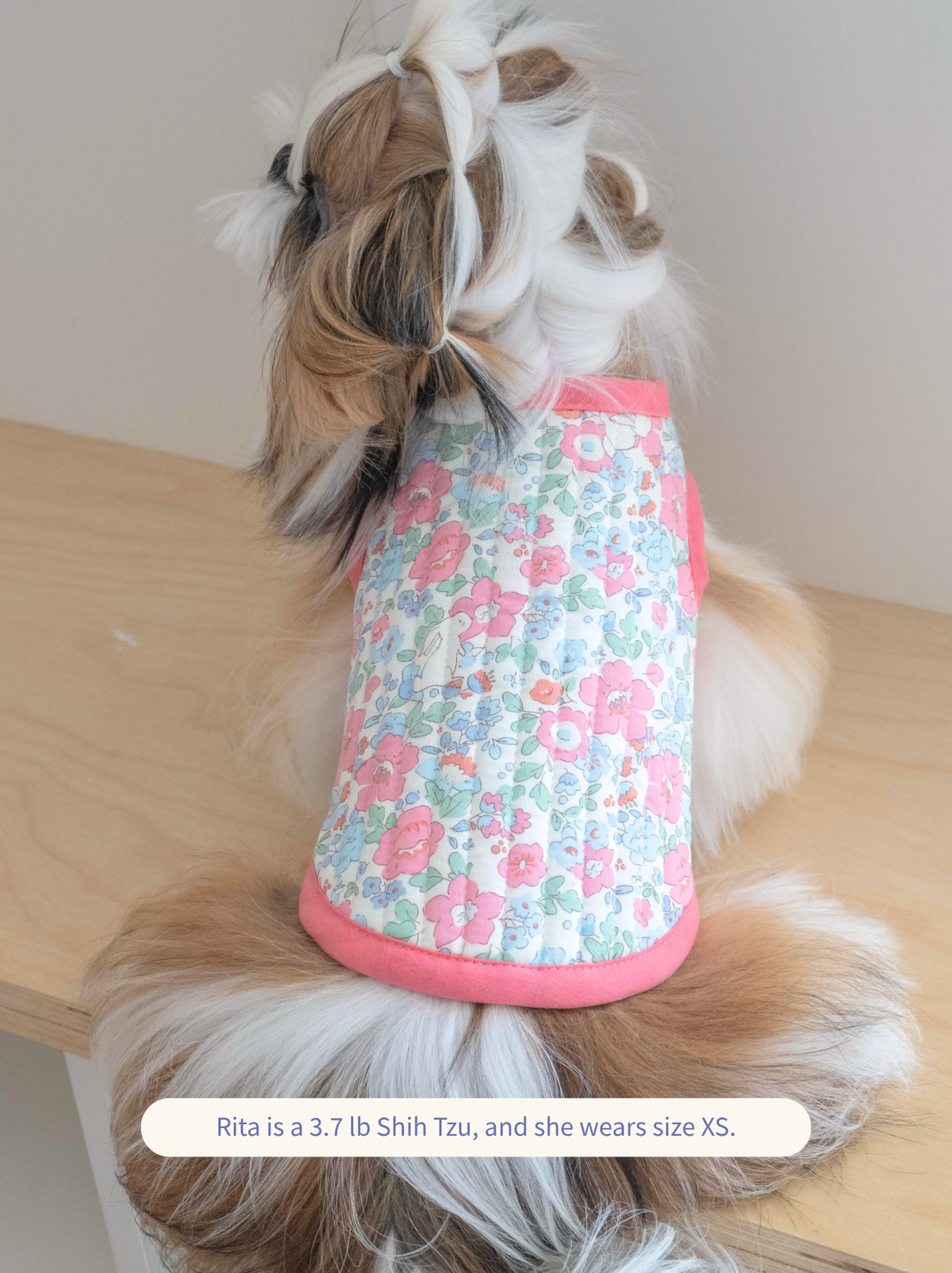 Shih Tzu wearing a floral Rabbit Garden Vest