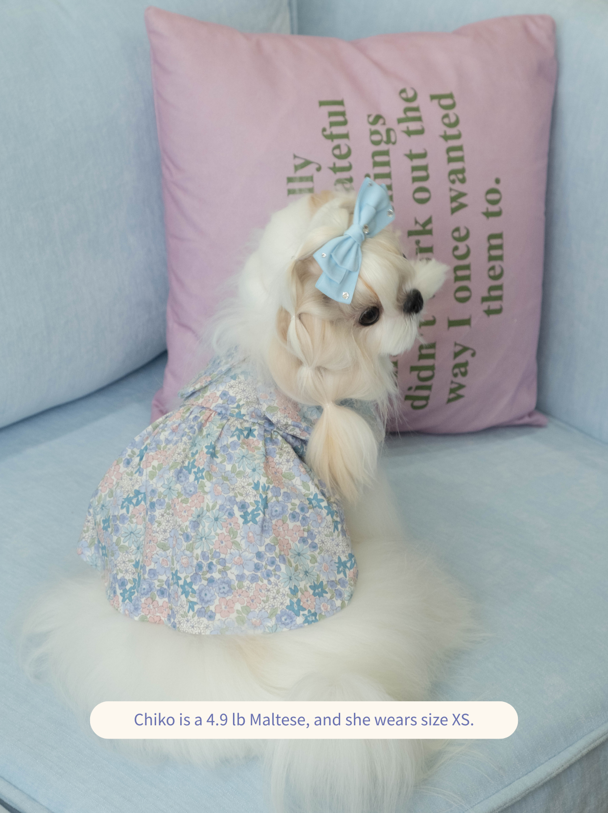 Honey Bloom Dress