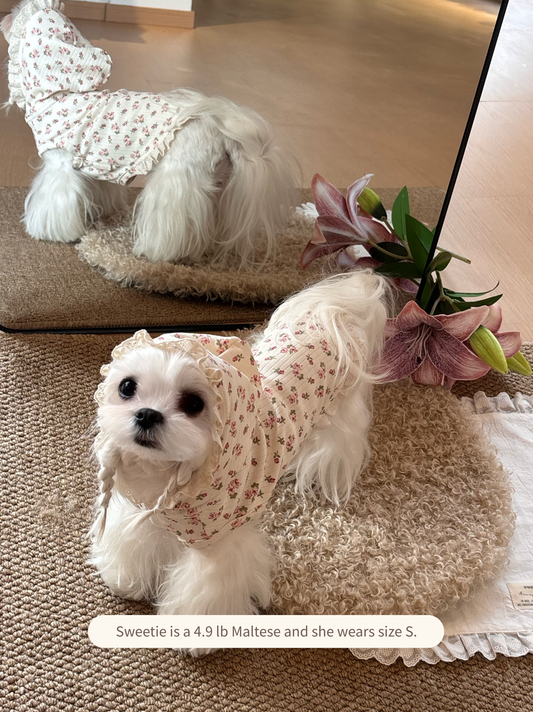 Maltese dog wearing floral sleeveless hoodie vest