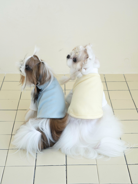 Maltese and Shih Tzu wearing Pawlorful Layered Comfort T-Shirts