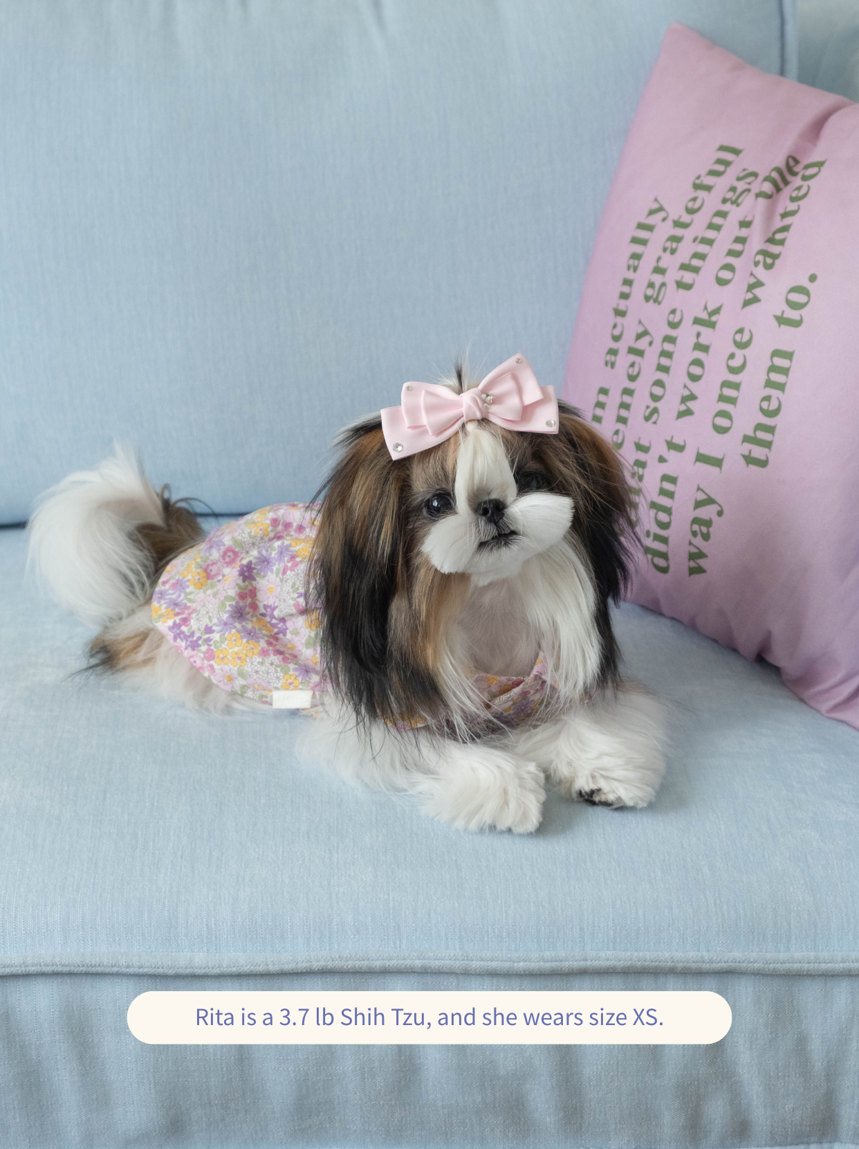Honey Bloom Dress