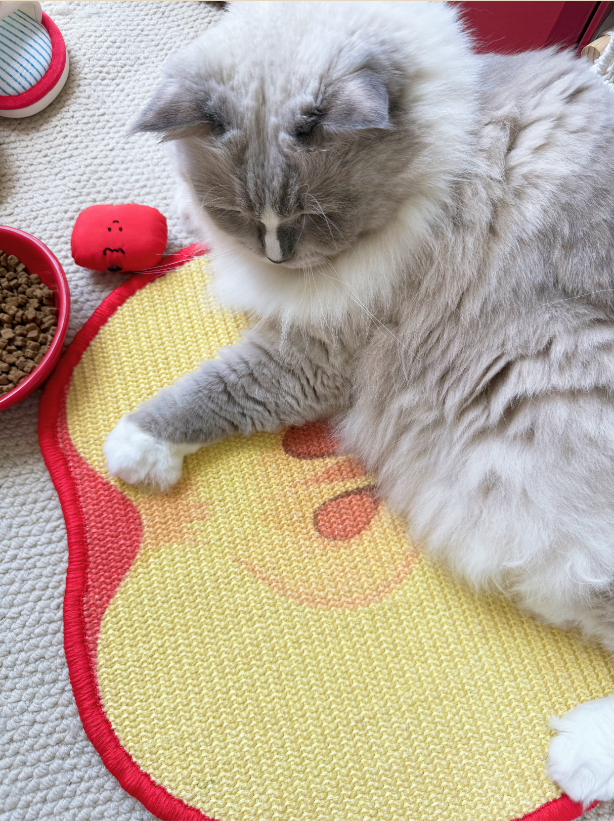 Cat relaxing beside apple-shaped scratching mat