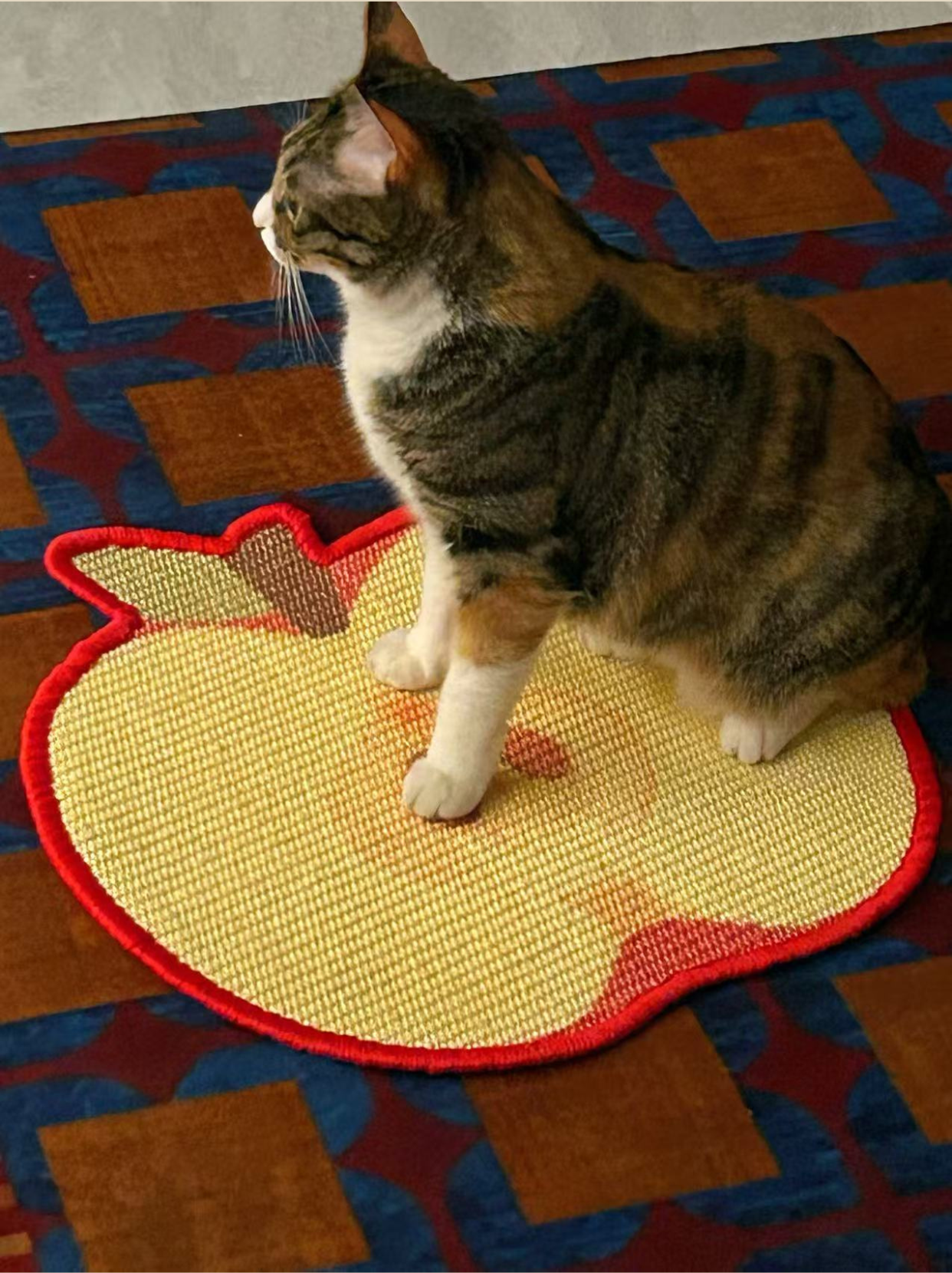 Top view of Pawlorful apple sisal scratch mat in home environment