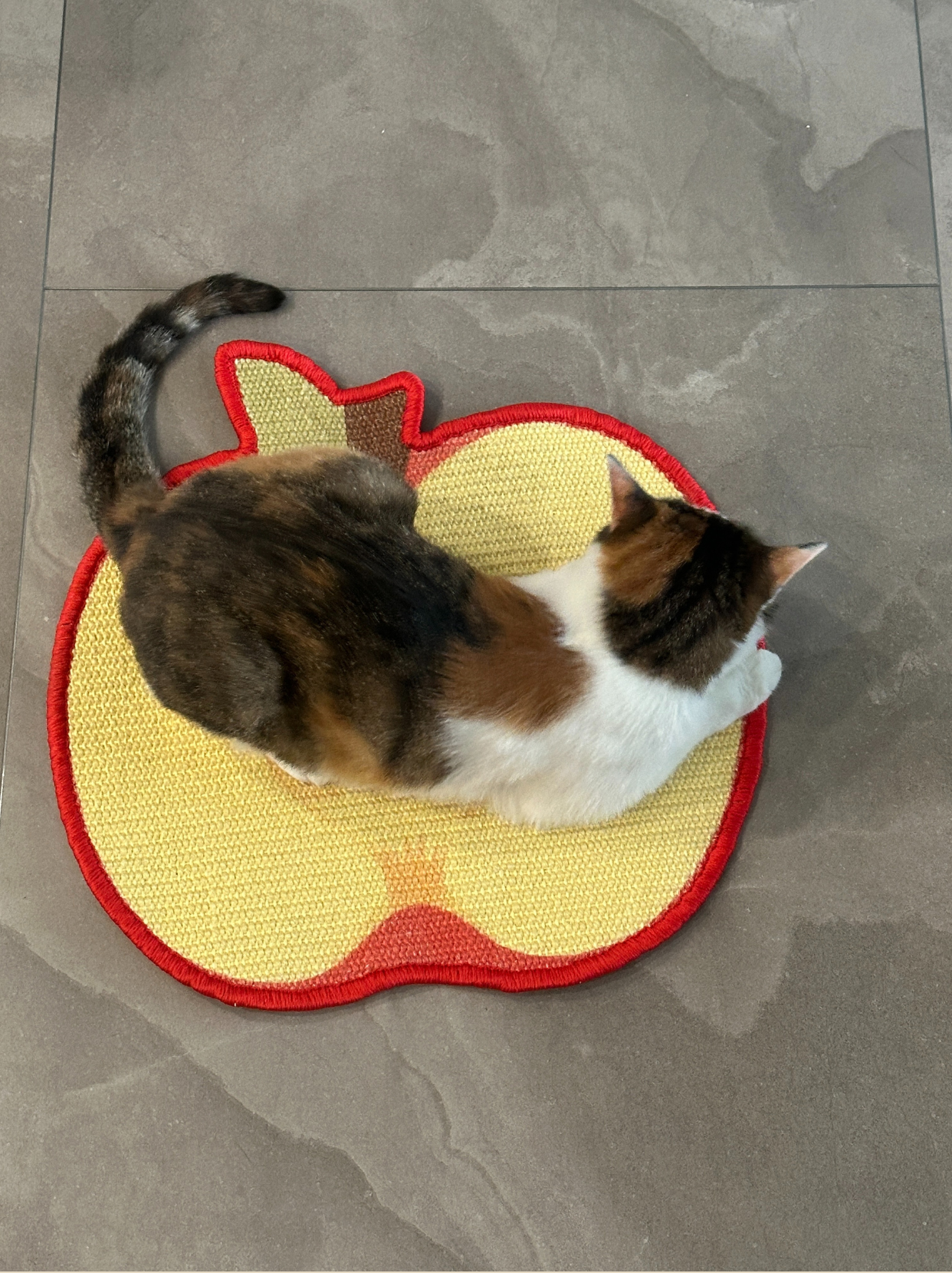 Apple-shaped scratch mat placed on wooden floor