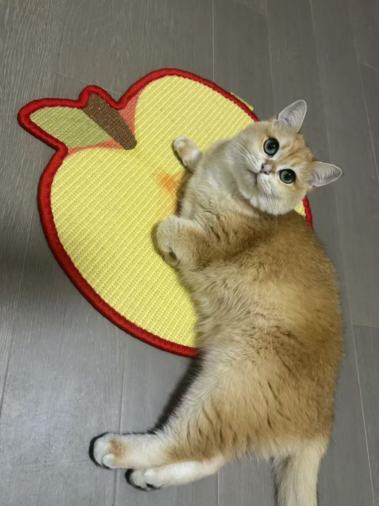 Cute home decor style with Pawlorful apple sisal mat