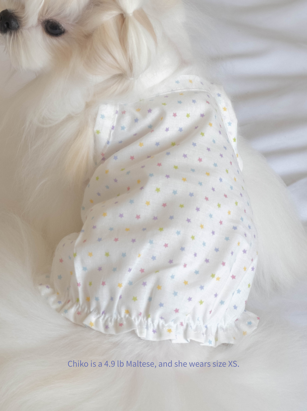 Star print dog camisole detail