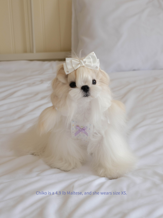 Maltese wearing Pawlorful star print dog camisole