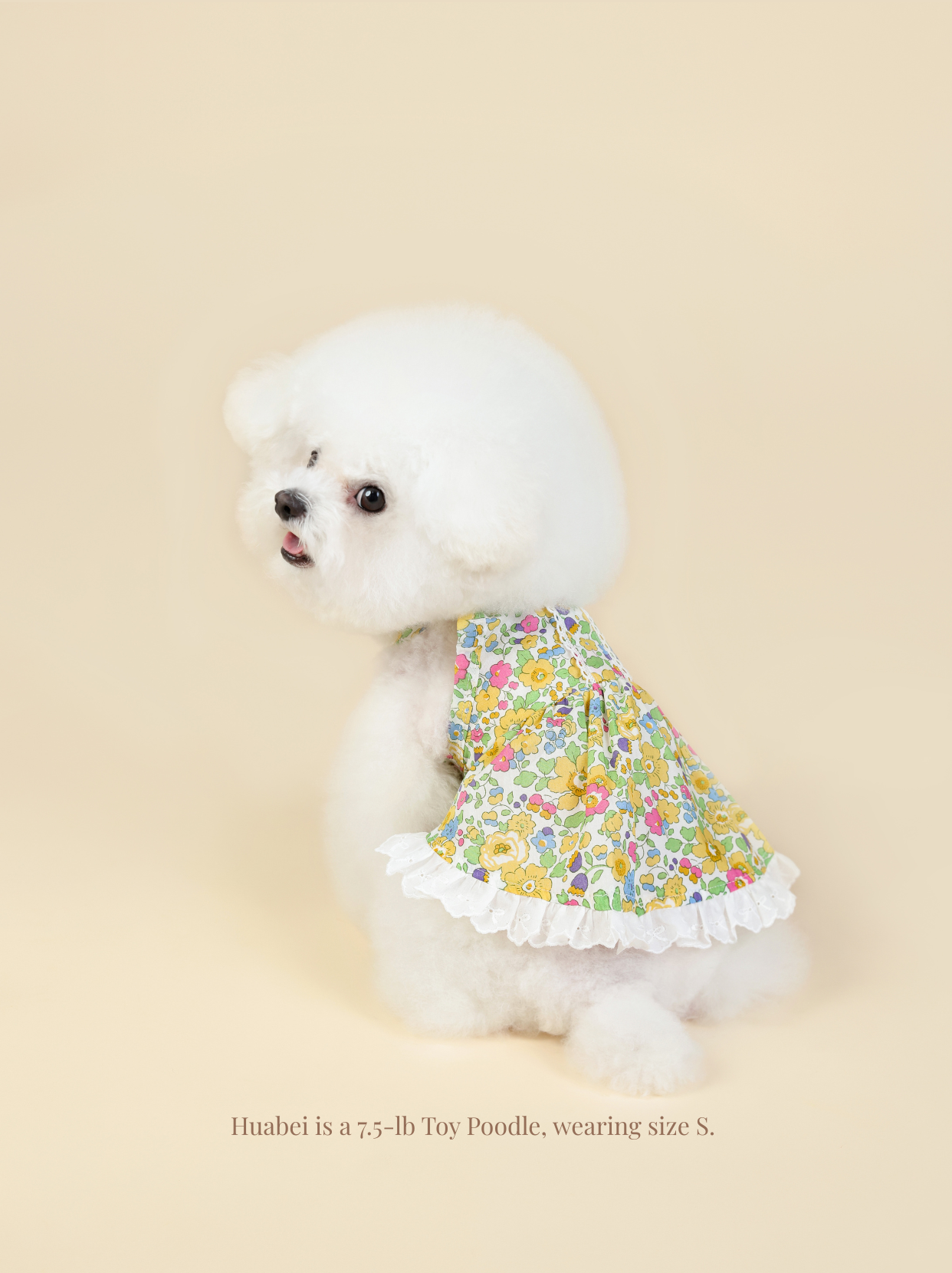 Vintage Yellow Floral Pet Dress