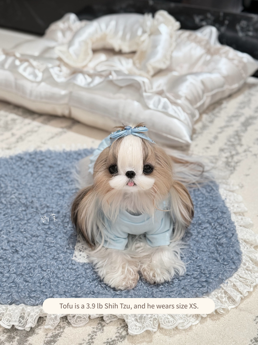 Shih Tzu wearing a soft blue ruffle pet shirt in spring
