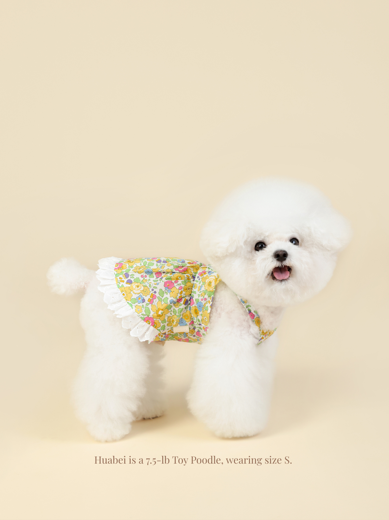Vintage Yellow Floral Pet Dress