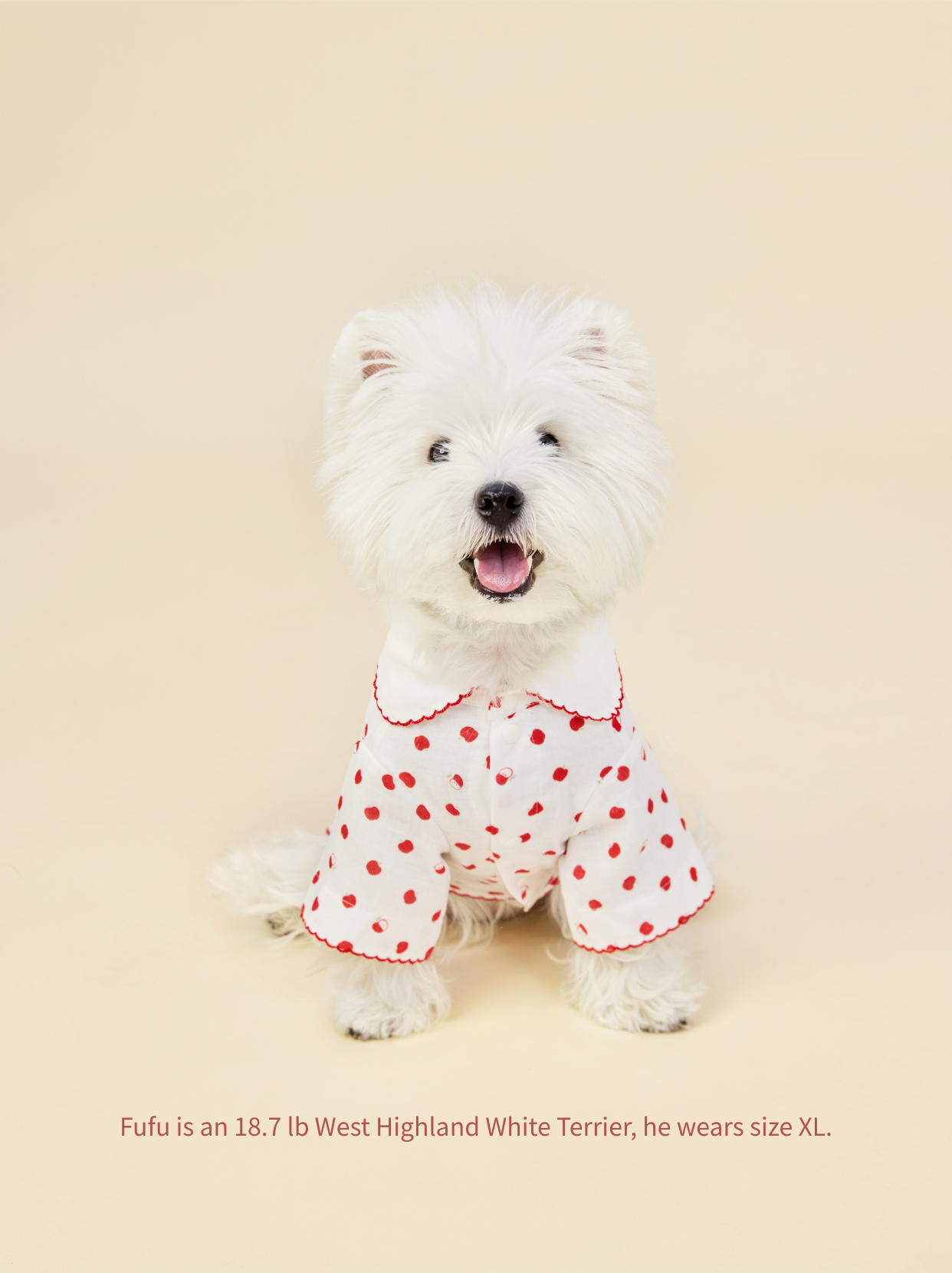 Westie in soft Little Apple dog pajamas