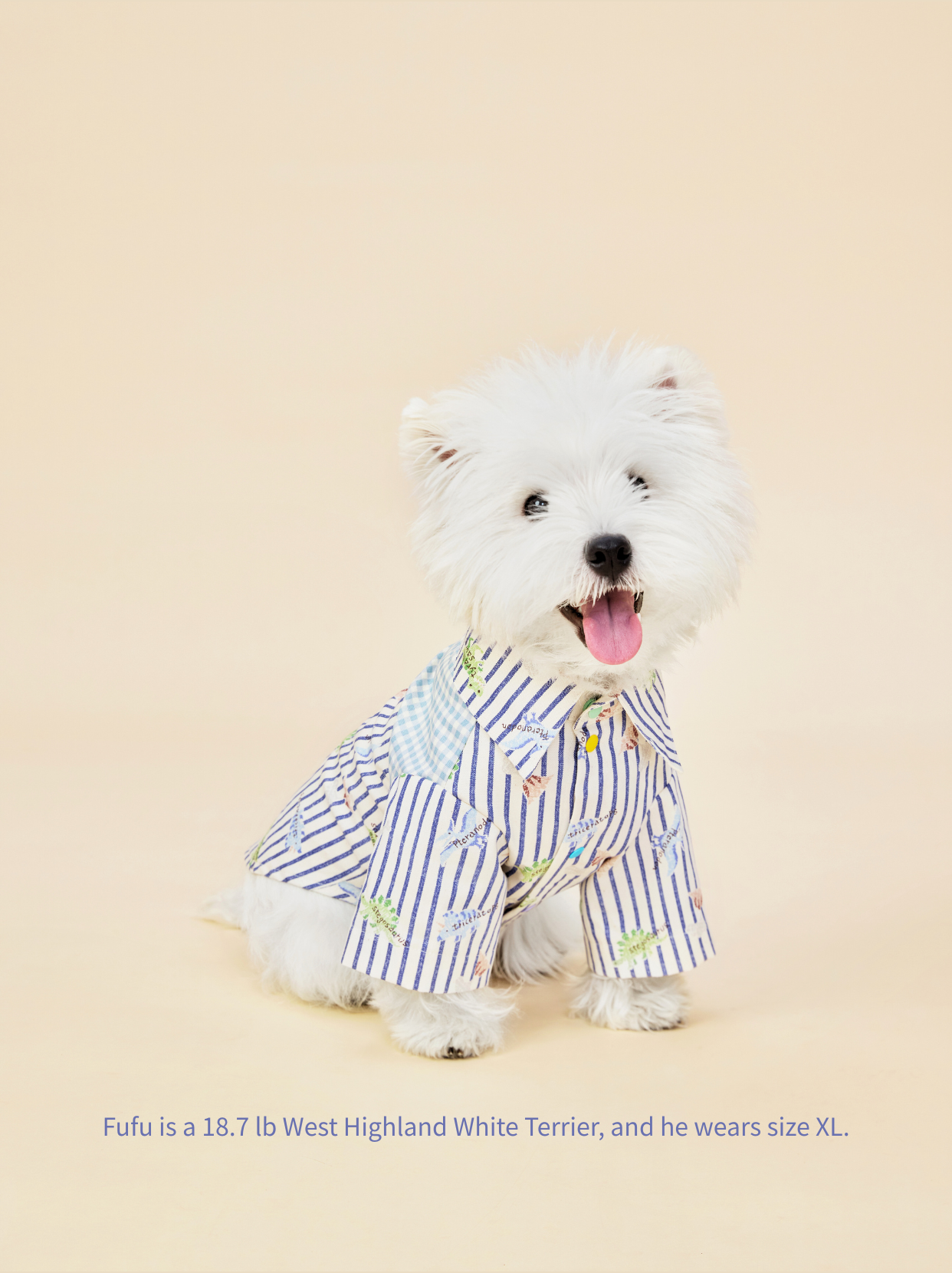 West Highland White Terrier wearing striped little dinosaur dog shirt